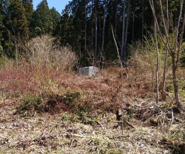 【土地権利】36円 高圧13,464kW EPCフリー 岐阜県恵那市 杉之沢土地付き分譲太陽光発電物件