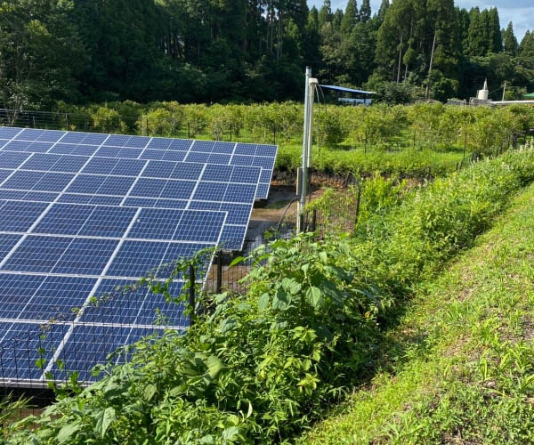 【36円】出力抑制保険付 利回り10.32% 鹿児島県肝属郡錦江町土地付き分譲太陽光発電物件