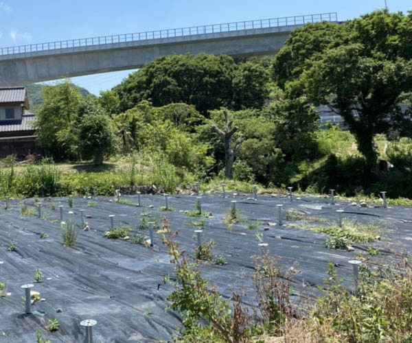 【18円】過積載89.6kW 現金決済のみ 年収入約184万円 岐阜県郡上市土地付き分譲太陽光発電物件