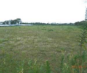 【36円中古】56.16kw 低圧2区画一括販売 茨城県久慈郡土地付き分譲太陽光発電物件