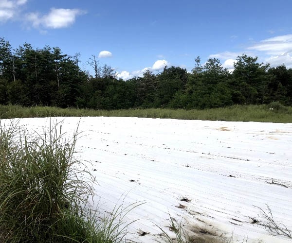 【18円】過積載111.6kW 現金決済のみ 年収入約227万円 和歌山県紀の川市土地付き分譲太陽光発電物件