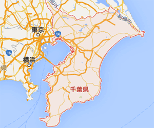 【32円・3月連系】60.84kW 土地売買 千葉県北西部土地付き分譲太陽光発電物件
