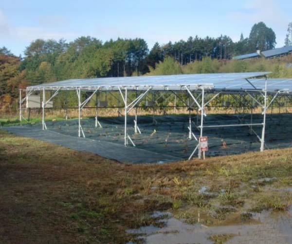 【24円】低圧59.4kW ローン可能 年収入約173万円 岐阜県恵那市東野B土地付き分譲太陽光発電物件