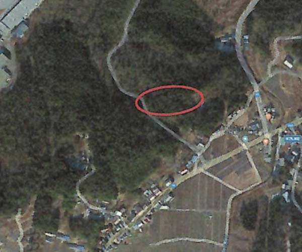 【24円】低圧59.4kW ローン可能 年収入約173万円 岐阜県恵那市東野B土地付き分譲太陽光発電物件