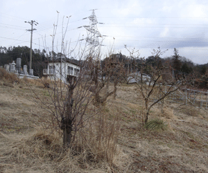 【32円】56.16kw 連系は受注後1.5ヶ月 長野県下伊那郡豊丘村土地付き分譲太陽光発電物件