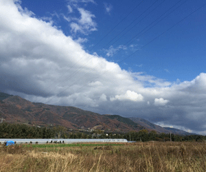 【32円】徳島県三好市 65.5kW土地付き分譲太陽光発電物件