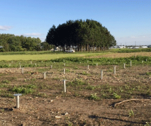 【27円】高圧270kw 限定1区画 宮城県仙台市茂庭②土地付き分譲太陽光発電物件