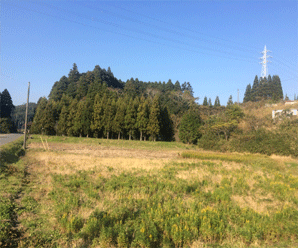 【24円】過積載低圧79.2kw アプラス可 栃木県大田原市A135土地付き分譲太陽光発電物件