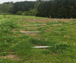 【売電中】屋根貸し案件 22.5kw 京都府京丹後市綱野町土地付き分譲太陽光発電物件
