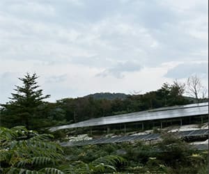 【中古12円】高圧案件　パネル総容量445.5kW　表面利回り9.98％　年収入約604万円　兵庫県佐用郡【1295-876】