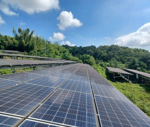 【中古21円】高圧案件　パネル総容量595.65kW　表面利回り約12.43％　年収入約1,491万円　岡山県笠岡市【2553】