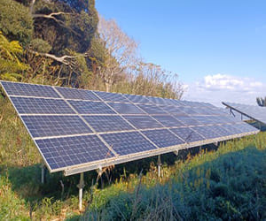 【中古21円】パネル総容量99kW　表面利回り約13.3%　年収入約238万円　千葉県旭市【2536-2】