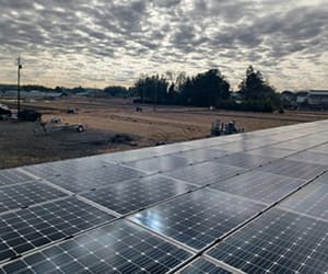 【中古29円】屋根設置案件　パネル総容量49.92kW　表面利回り約18.48%　年収入約187万円　千葉県印旛郡【2828】