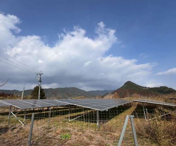 【中古14円】パネル総容量109.62kW　ローン利用可能　年収入約152万円　鹿児島県志布志市