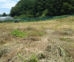 【24円】低圧22.26kw ローン可能(信販紹介) 三重県伊賀市土地付き分譲太陽光発電物件