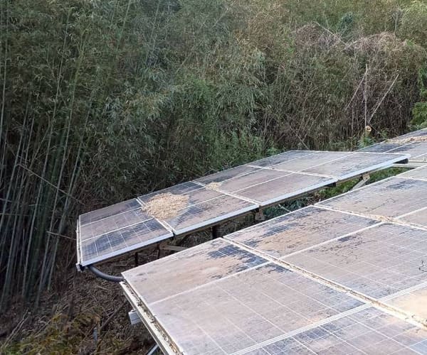 【中古29円】パネル総容量70.2kW　ローン利用可能　年収入約239万円　千葉県いすみ市