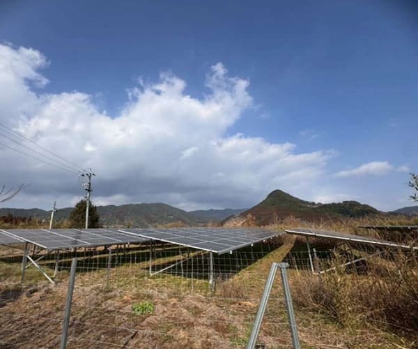 【中古14円】パネル総容量109.62kW　ローン利用可能　年収入約137万円　鹿児島県志布志市