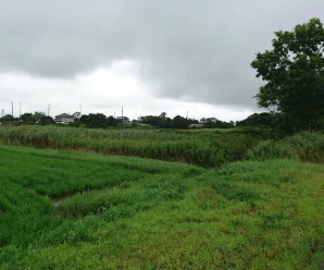【24円】低圧61,36kw イオン・オリコ・アプラス可能 三重県伊勢市土地付き分譲太陽光発電物件