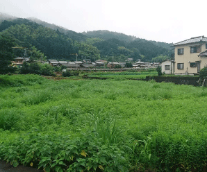 【18円】過積載86.4kW ローン可能 日当たり抜群 三重県津市土地付き分譲太陽光発電物件