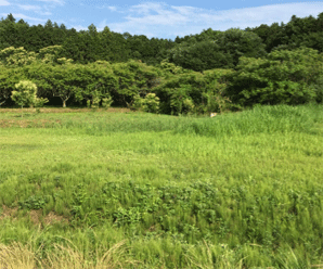 【24円】低圧22.26kw ローン可能(信販紹介) 三重県伊賀市土地付き分譲太陽光発電物件