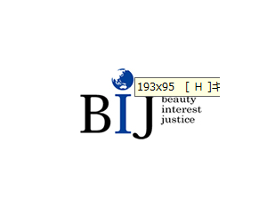 株式会社BIJ